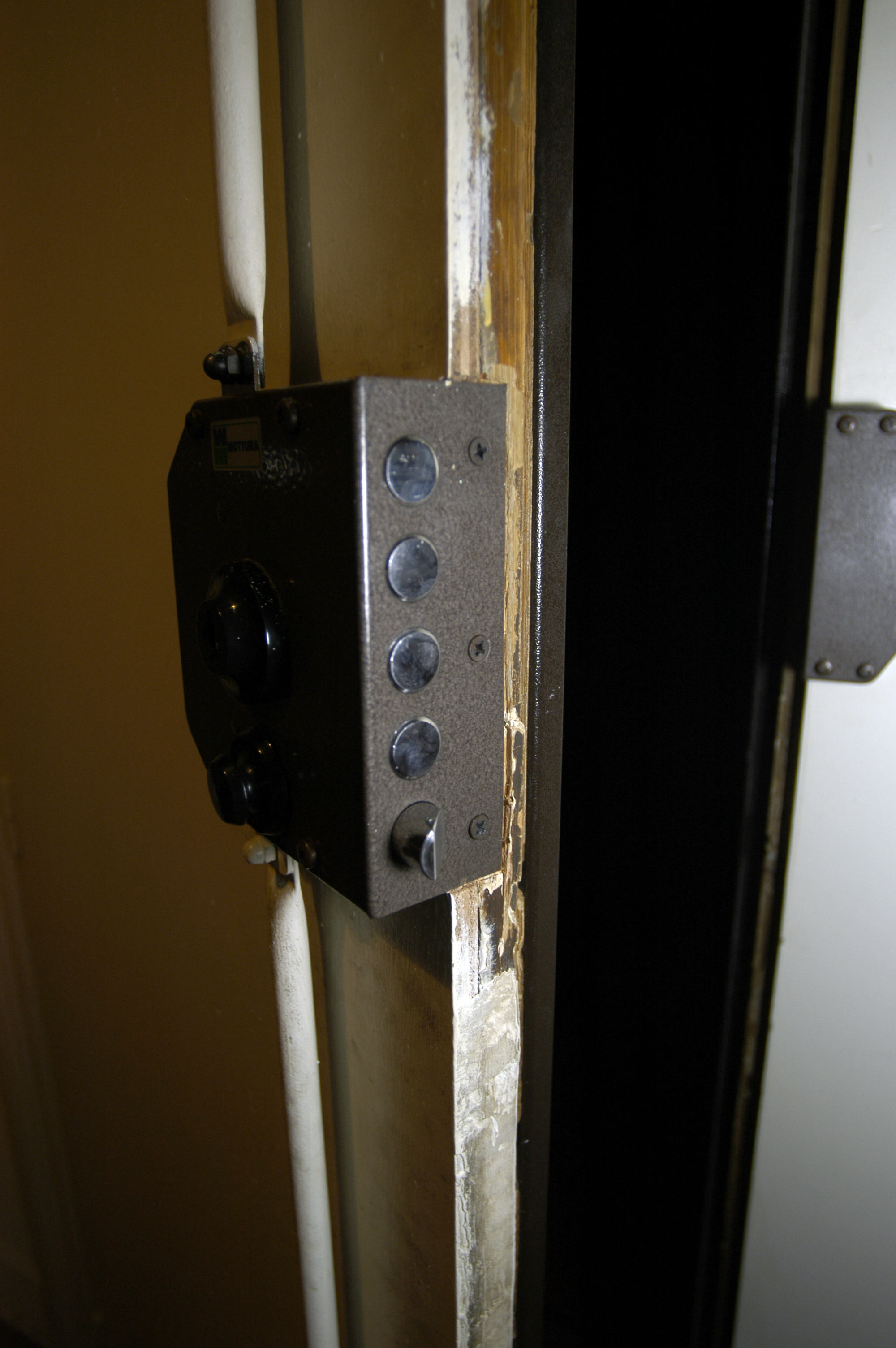 swanky security system