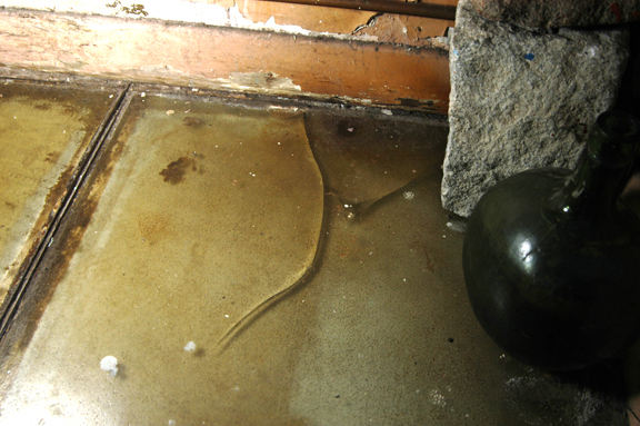 floor